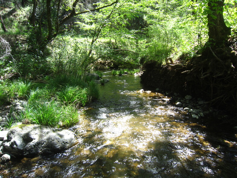 Mill Creek, Healdsburg, CA for sale - Primary Photo - Image 1 of 1