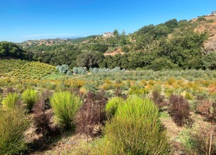 4 Parcels SANDIA CREEK/DELORME dr, Temecula, CA for sale Building Photo- Image 1 of 17