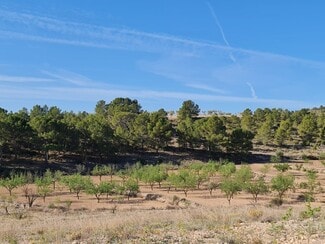 More details for Land for Sale