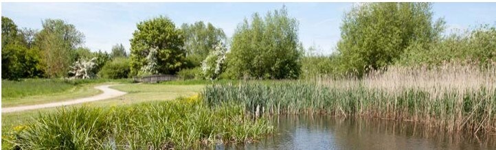 Lodge Ct, Trowbridge for sale Primary Photo- Image 1 of 1