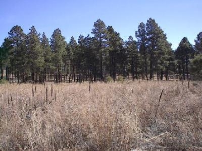 2700 N Fort Valley Rd, Flagstaff, AZ for sale - Building Photo - Image 1 of 2