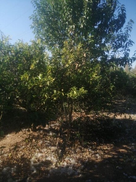 Frente Carrefour, Castellon, Castelló de la Plana, Castellón for sale - Building Photo - Image 2 of 3