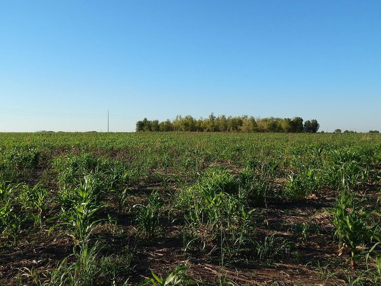 9525 W Hefner Rd, Yukon, OK for sale - Primary Photo - Image 1 of 1