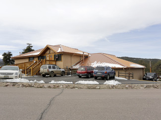 More details for 800 E Hwy 24, Woodland Park, CO - Office, Office/Retail for Rent