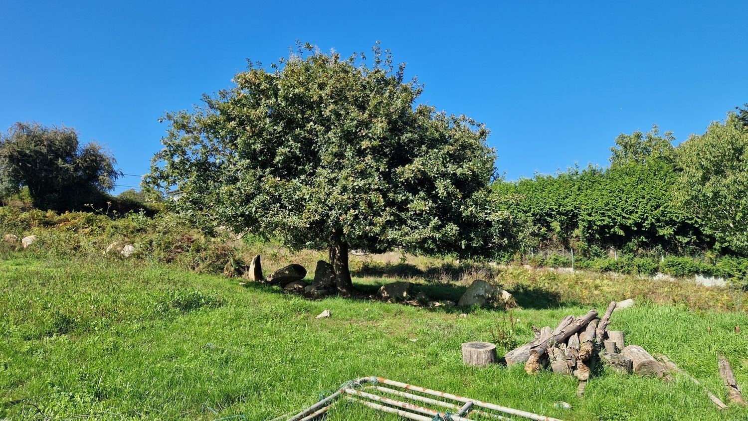 Land in Vigo for sale Building Photo- Image 1 of 26