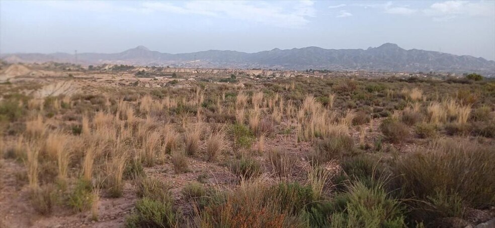 Abanilla, S/N, Abanilla, Murcia for sale - Site Plan - Image 3 of 10