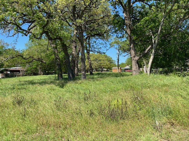 HWY U.S. 82 Lot 1 Nunneley Hwy, Saint Jo, TX for sale - Primary Photo - Image 2 of 9