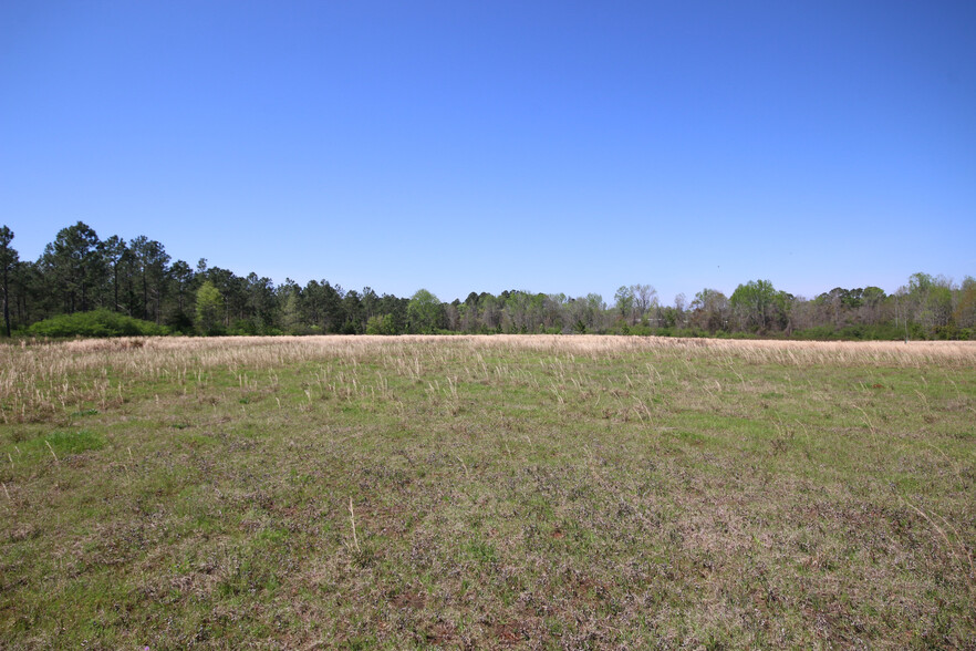 1908 Albany hwy, Dawson, GA for sale - Building Photo - Image 3 of 6