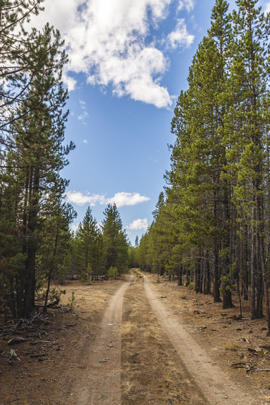 US Forest Service Rd, Silver Lake, OR for sale - Other - Image 3 of 18