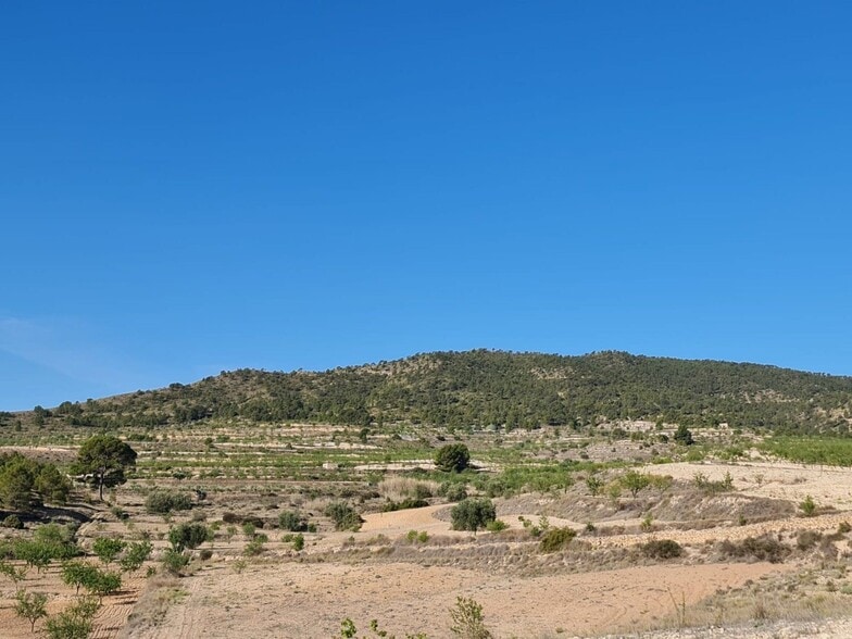 Land in Yecla, Murcia for sale - Primary Photo - Image 2 of 28