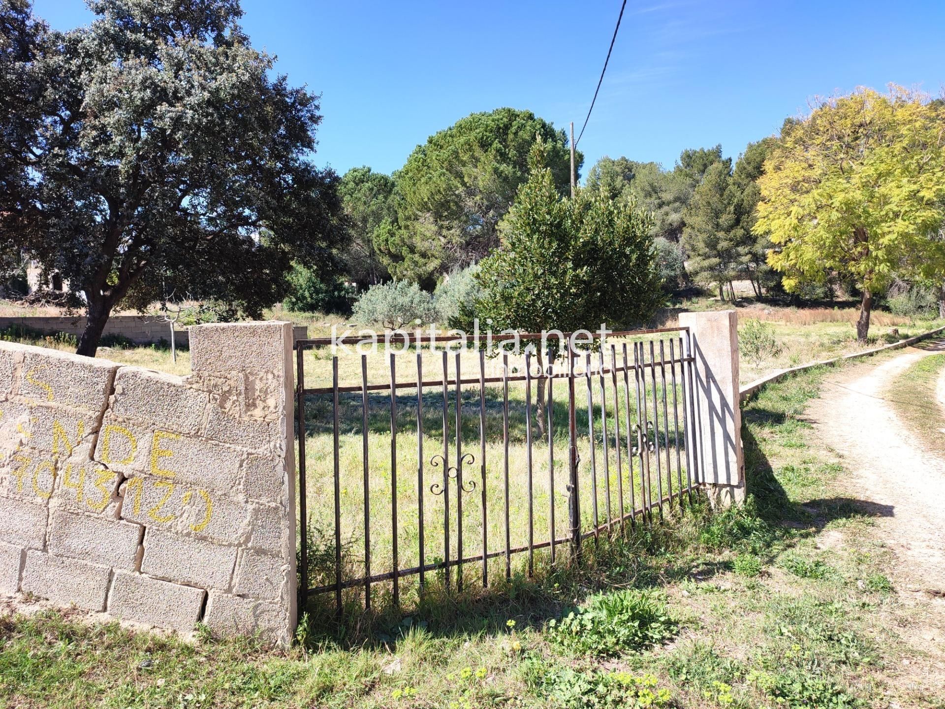 Land in L'Alcúdia, Valencia for sale Primary Photo- Image 1 of 6