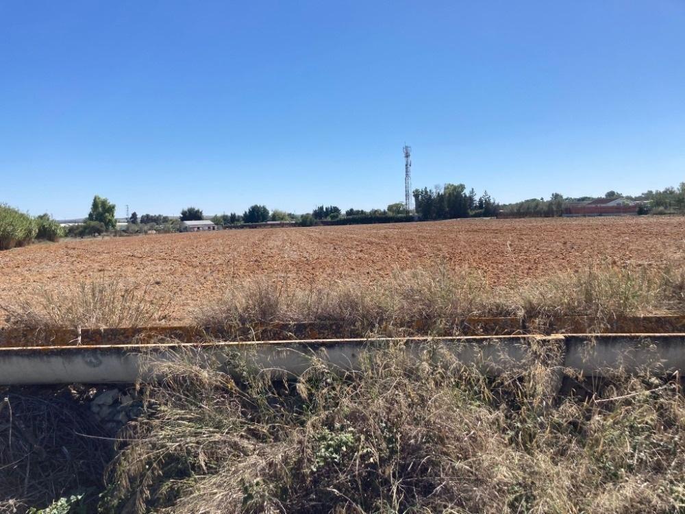 Land in Jerez de la Frontera, Cádiz to rent Site Plan- Image 1 of 9