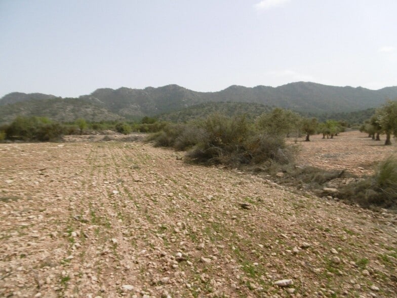 Land in Yecla, Murcia for sale - Site Plan - Image 2 of 3