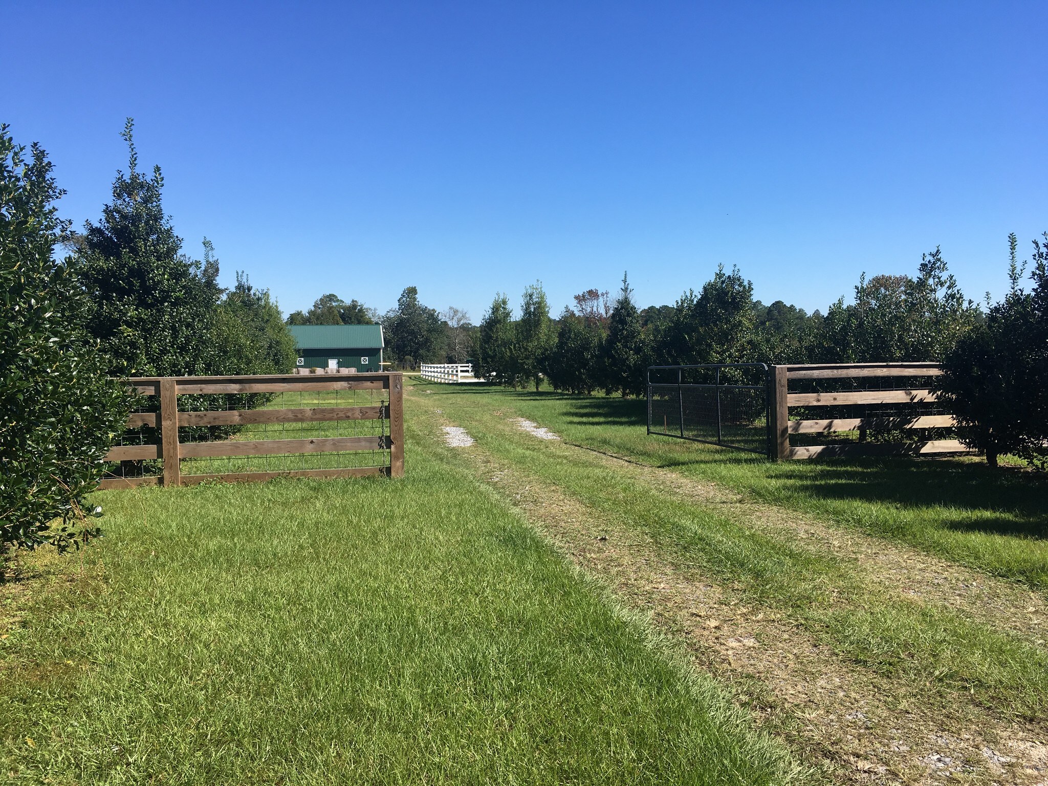 4792 Schaag Rd, Molino, FL for sale Other- Image 1 of 1