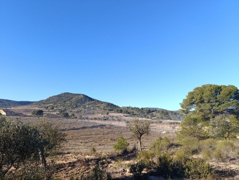 Land in Yecla, Murcia for sale - Aerial - Image 2 of 11
