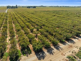 78.42 +/- Acre Cherry Farm - Commercial Property