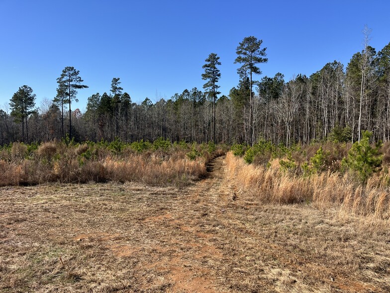 TBD NC 73 Hwy, Ellerbe, NC for sale - Building Photo - Image 3 of 13