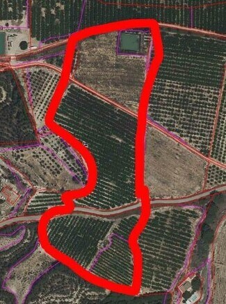 More details for Polígono Ascoy, Cieza - Land for Sale