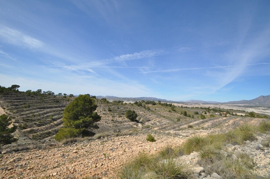 Land in Jumilla, Murcia for sale - Aerial - Image 3 of 16