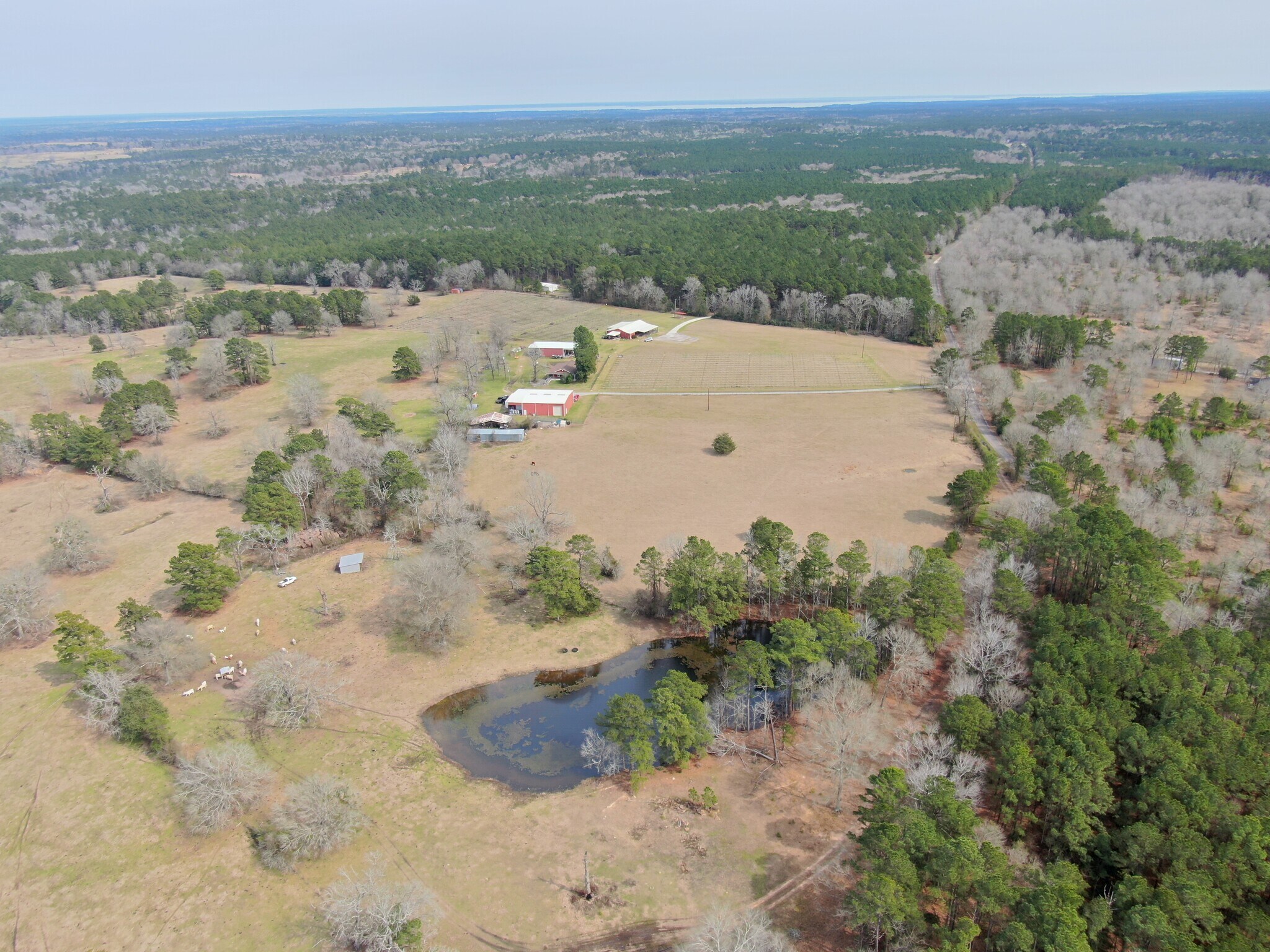 565 Dodge Oakhurst Rd, Huntsville, TX for sale Primary Photo- Image 1 of 5