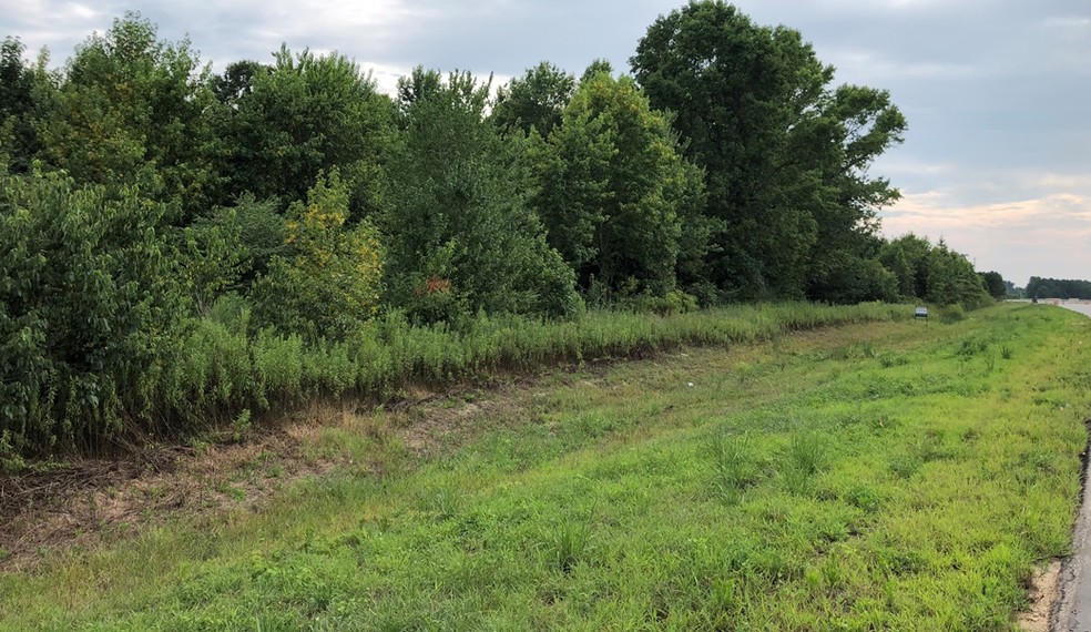 Roseboro Hwy, Roseboro, NC for sale - Primary Photo - Image 1 of 3