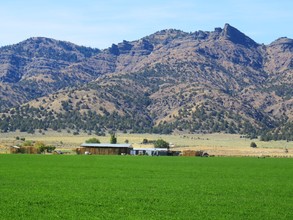 505 Co, Cedarville, CA for sale Primary Photo- Image 1 of 1