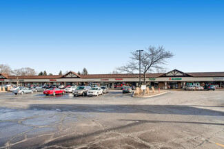 More details for 1010-1072 E Schaumburg Rd, Streamwood, IL - Retail for Rent