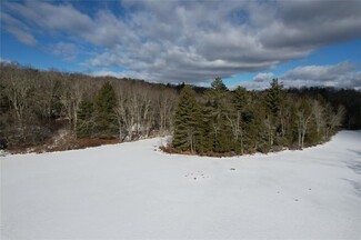 More details for 118 Hilltop Rd, Monticello, NY - Land for Sale