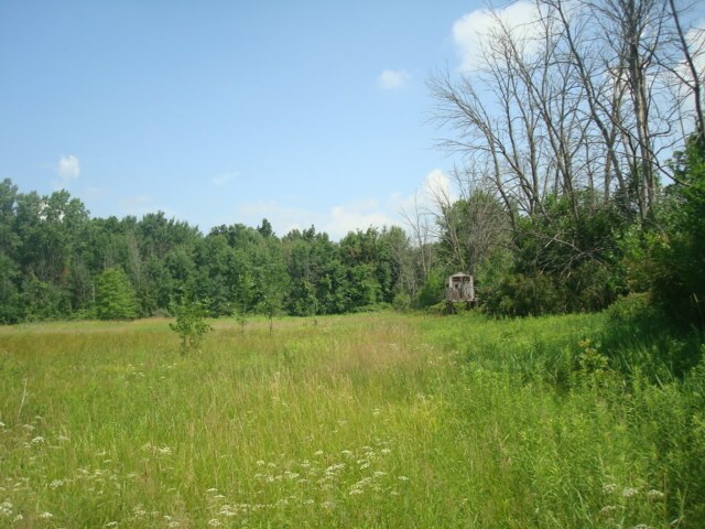 1 Rush Rd, Oakland Township, MI for sale Other- Image 1 of 1