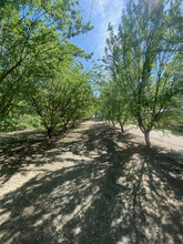 14468 16th Ave, Lemoore, CA for sale Primary Photo- Image 1 of 1