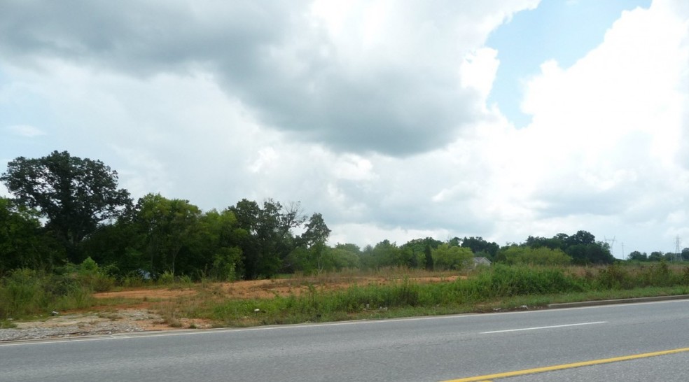 S 411 Hwy, Maryville, TN for sale - Building Photo - Image 1 of 1