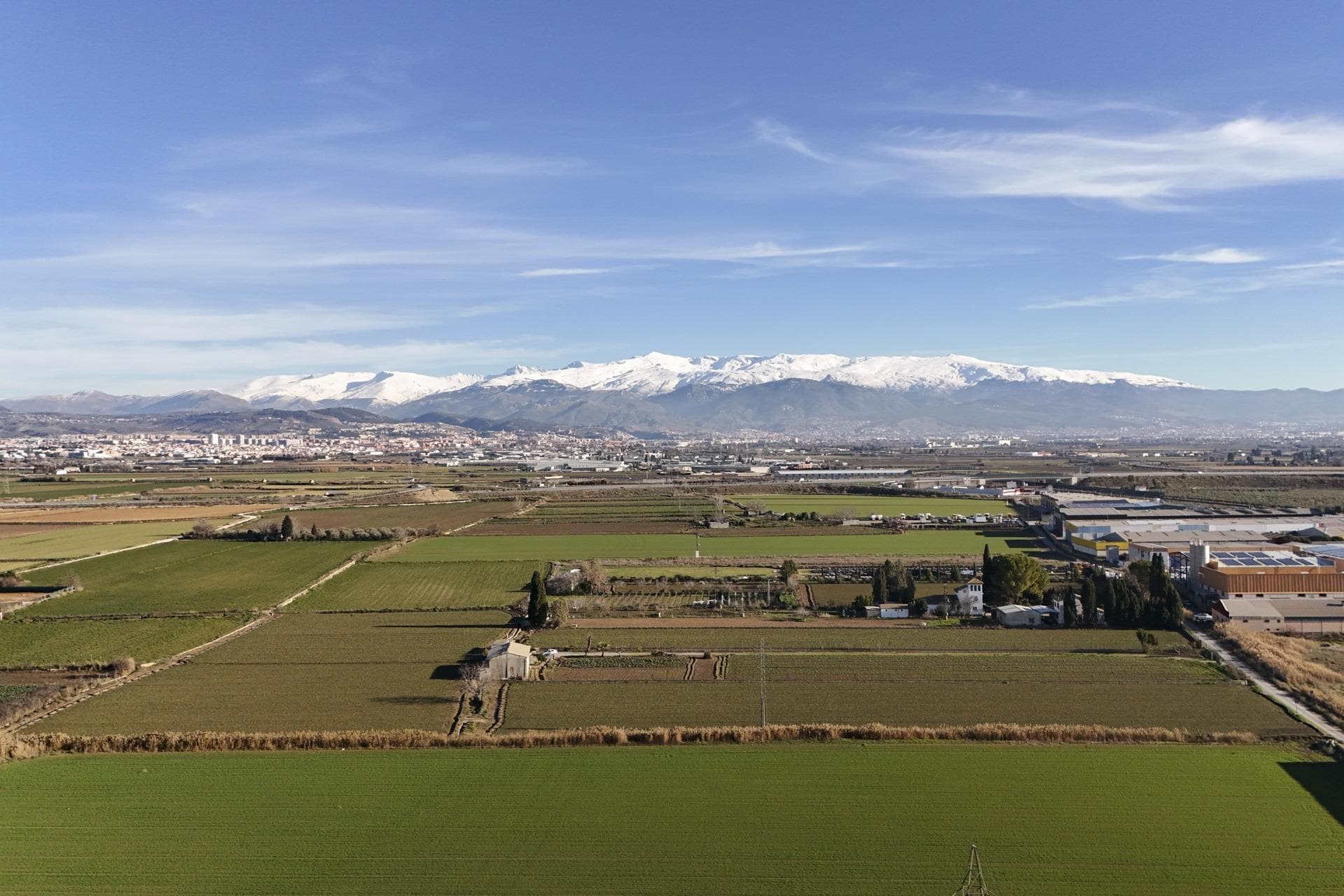 Camino del Jueves, S/N, Atarfe, Granada for sale Primary Photo- Image 1 of 29