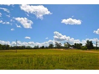 0 Glen Cathey Rd, Groveton, TX for sale - Primary Photo - Image 1 of 1