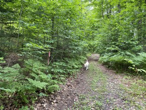 TBD off Cooper Lake Road, Ishpeming, MI for sale Primary Photo- Image 1 of 14