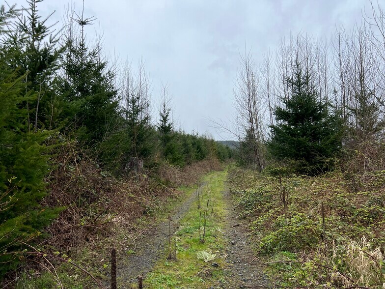 7505 US12, Morton, WA 98356 Land for Sale UK