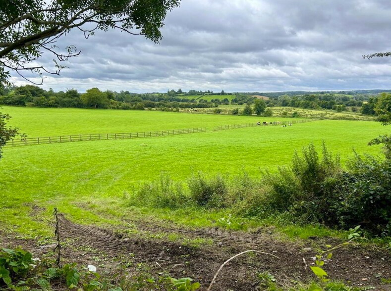 9 Ravella Rd, Aughnacloy for sale - Other - Image 1 of 3