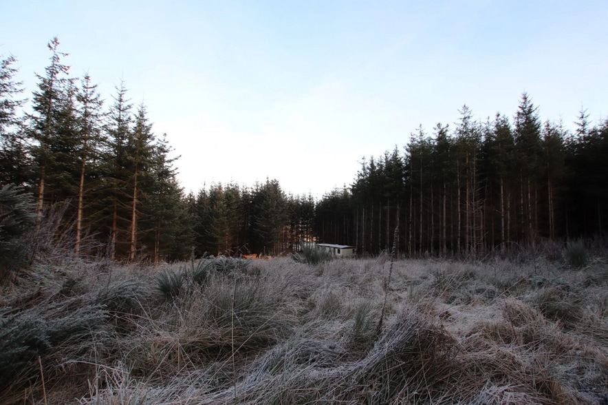 Meikle Cantlay, Keith for sale - Other - Image 1 of 4