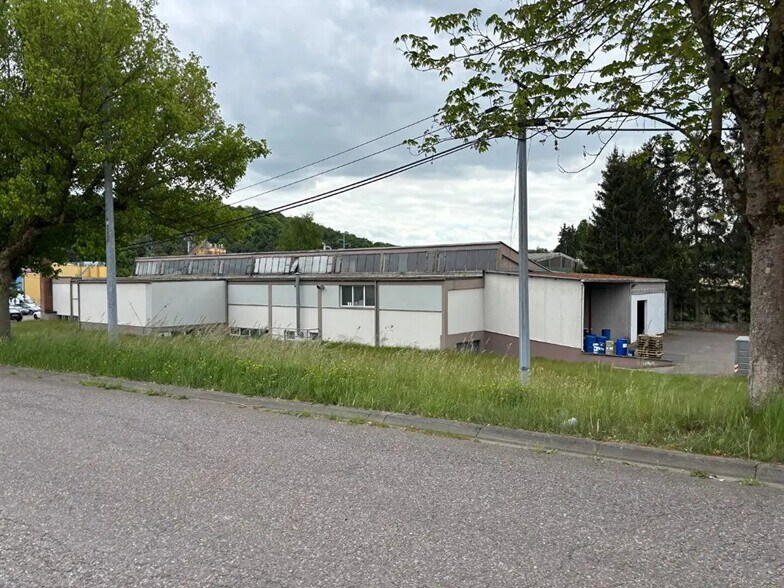 Industrial in Saint-Avold for sale - Primary Photo - Image 2 of 7
