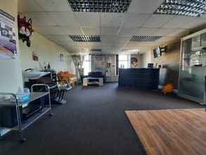 41 Every St, Nelson to rent Interior Photo- Image 1 of 5