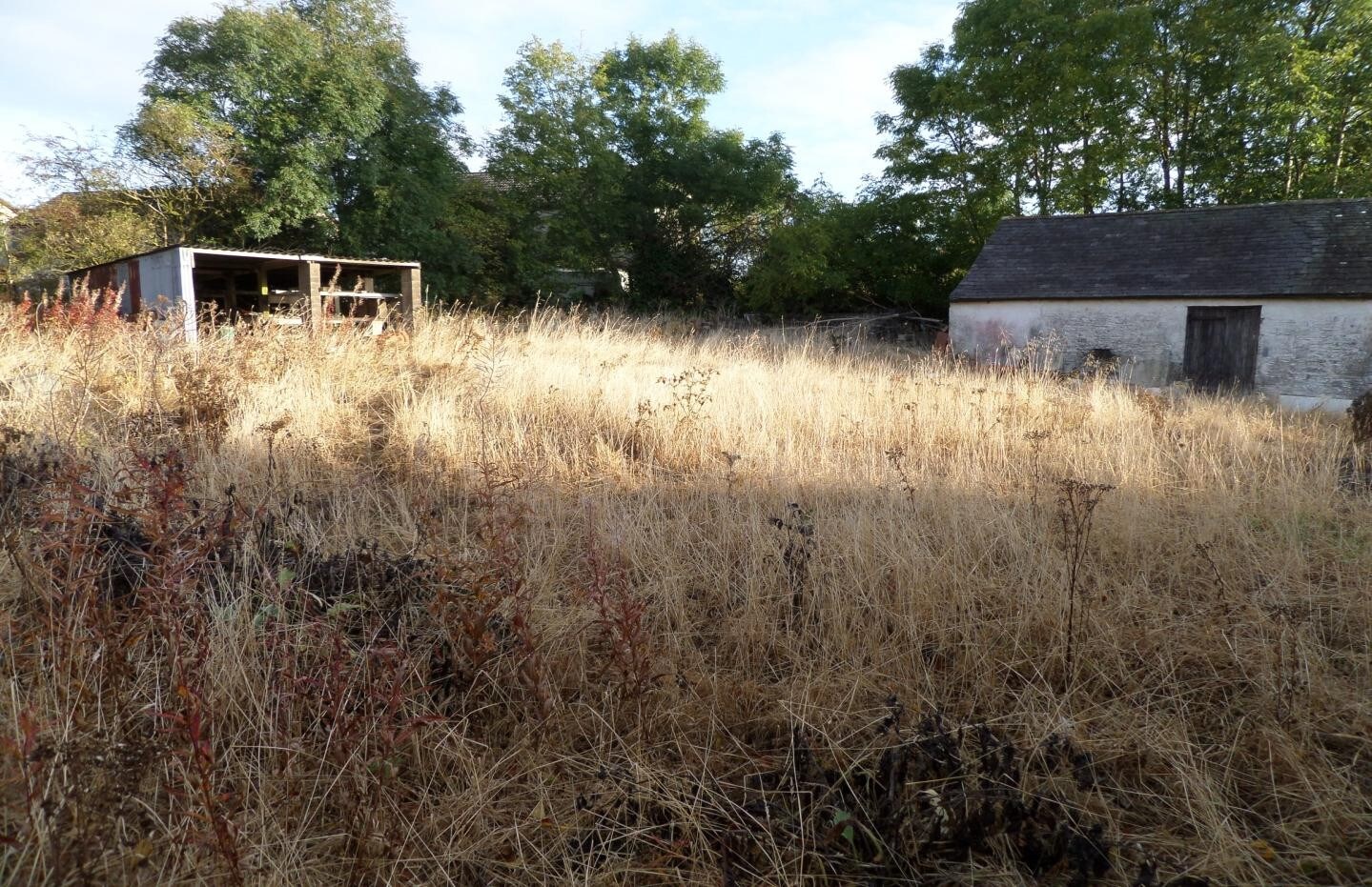 Bankshill, Lockerbie for sale Primary Photo- Image 1 of 1
