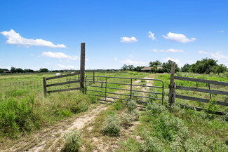 More details for 1050 FM 1466, Coupland, TX - Land for Sale