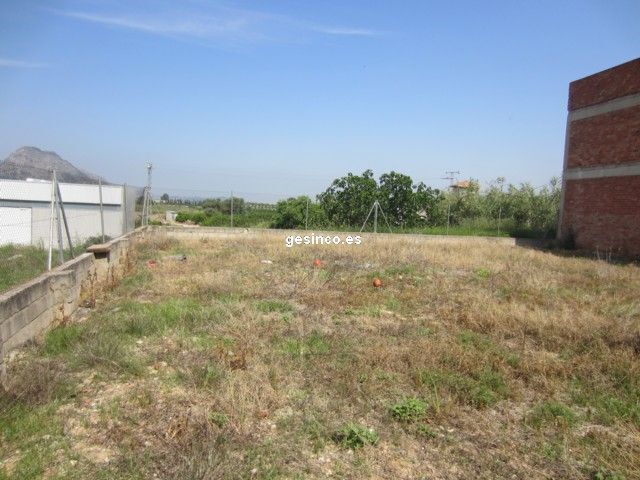 Land in El Genovés, Valencia to rent Site Plan- Image 1 of 3