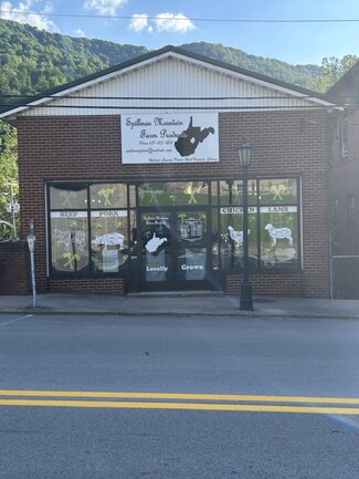 More details for 116 Main St, Webster Springs, WV - Light Industrial for Sale