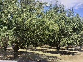 4040 highway 45, Colusa, CA for sale Primary Photo- Image 1 of 1