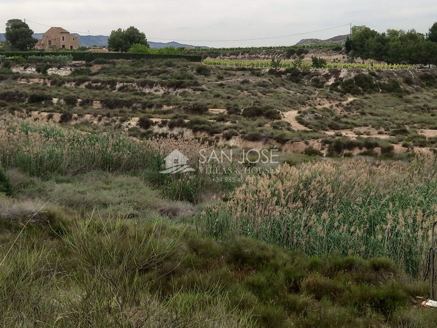 Land in Novelda, Alicante for sale Primary Photo- Image 1 of 18