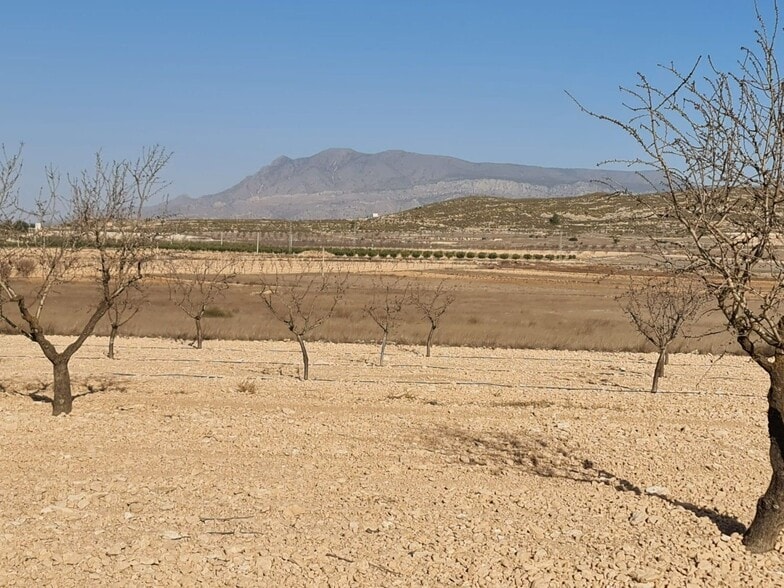 Land in Jumilla, Murcia for sale - Primary Photo - Image 2 of 9