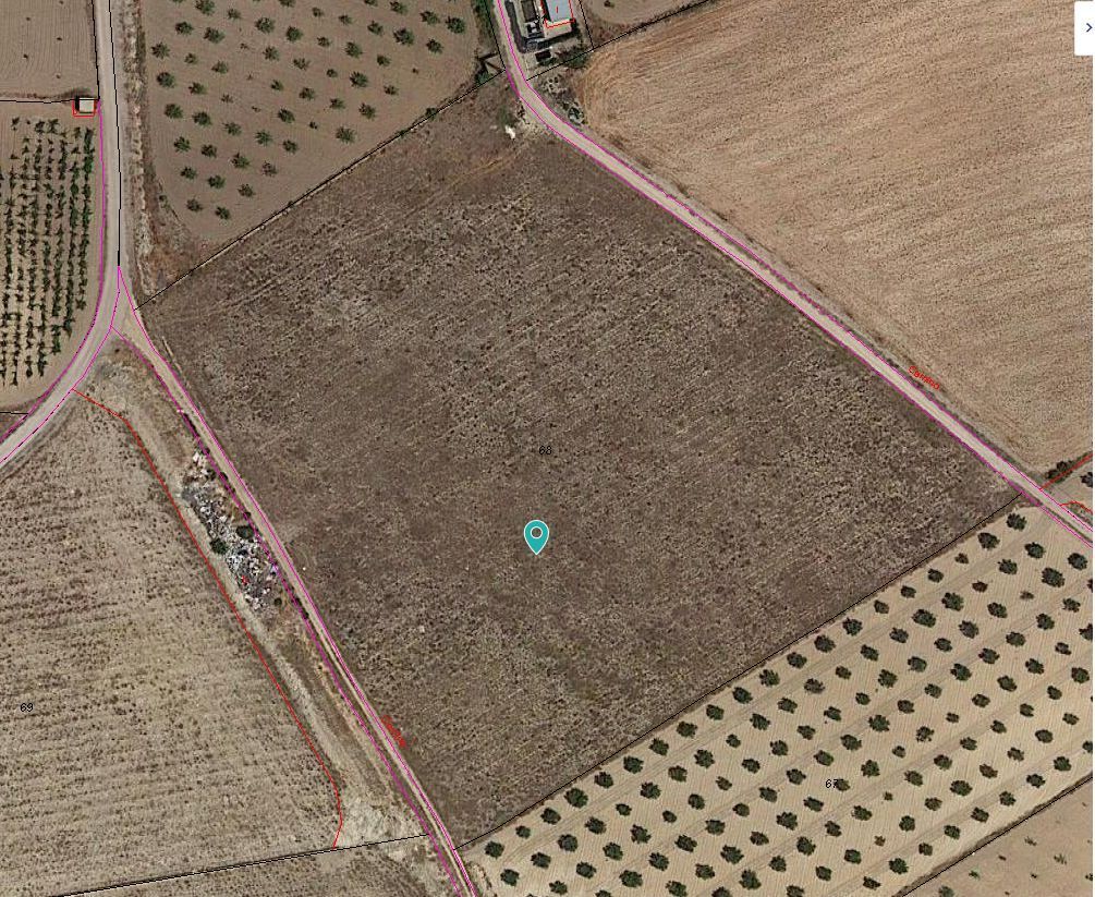 Land in Jumilla, Murcia for sale Primary Photo- Image 1 of 6