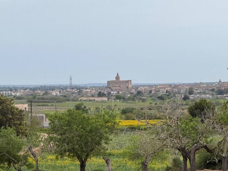 Camí Vel de Porreres, 2, Algaida, Islas Baleares for sale - Building Photo - Image 1 of 36