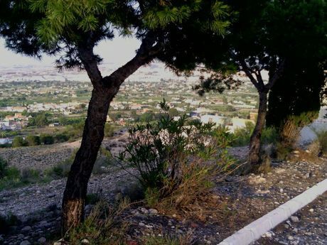 Land in Alguazas, Murcia for sale - Aerial - Image 2 of 9