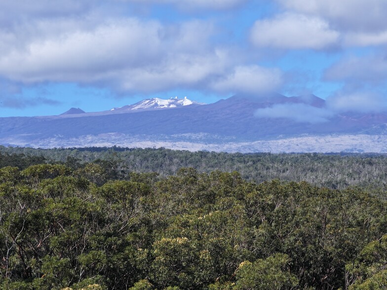 29-773 Chin Chuck Rd, Hakalau, HI for sale - Building Photo - Image 3 of 4